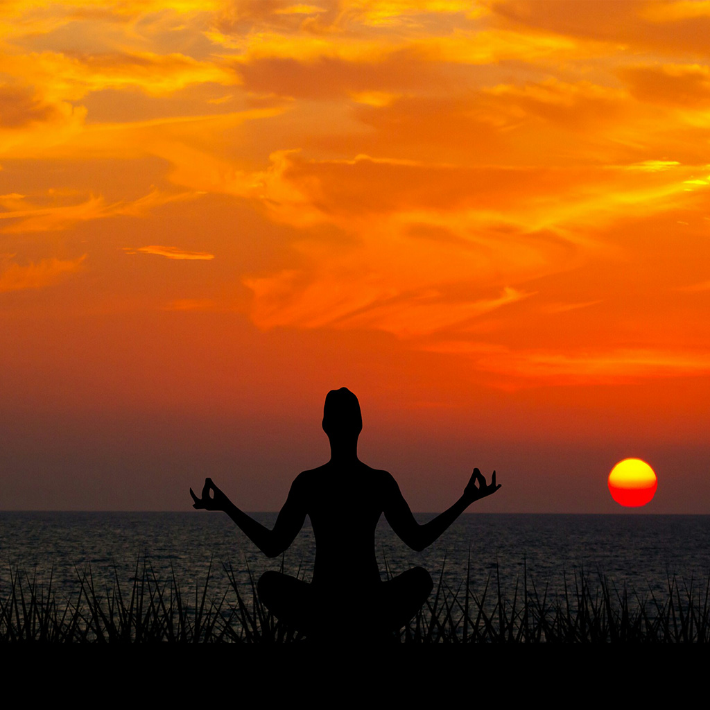 Scientific Meditation – PsyFi Solutions